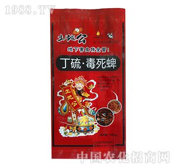 5%��������-���ع�-�𼪿Ƽ�