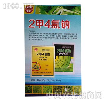 56%2��4���c-�����rˎ