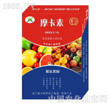 �g�����@����������Һ�ķ�-Ħ����-��(qi��ng)о���H