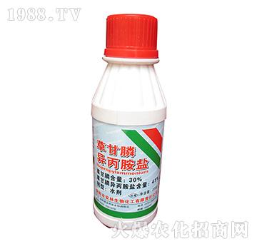 41%�ݸ�좮������}-����