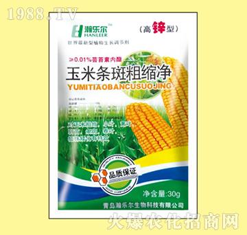 ���חl�ߴֿs��-嫘���