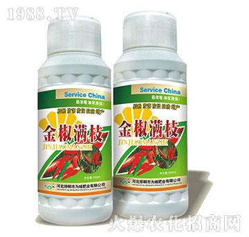 �𽷝M(m��n)֦-�����~���-���