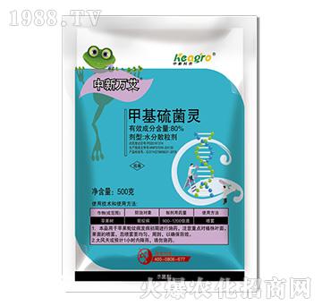 80%�׻�����`-�����f��-���¿��r(n��ng)