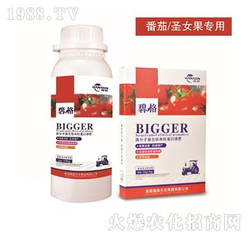 ����ʥŮ�����ø߷��ӏͺ����ЙC����Һ��-�̸�-�ɭ�r(n��ng)�I(y��)