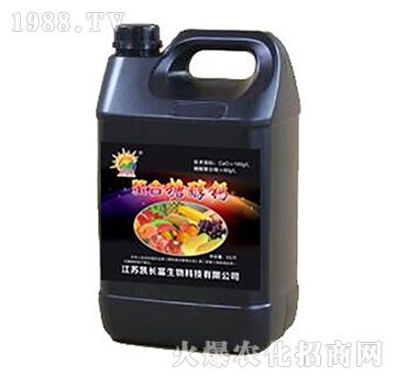 �����Ǵ��}���أ�-�P�L��