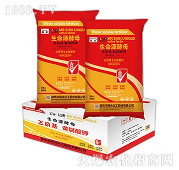 ���������S���������Դ��ĸ�����b��-���Z-�(y��ng)�⻯��