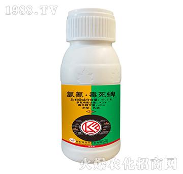 47.7%���衤������-���`�S