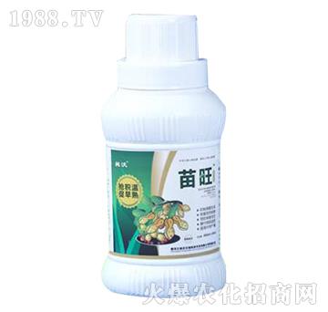 �����󶹌�(zhu��n)���~���-����-��������