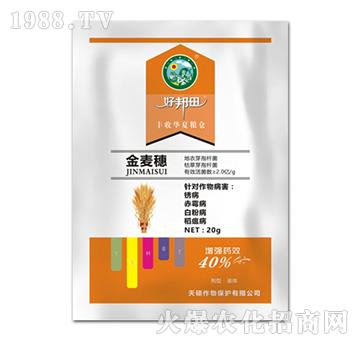 ������-��T����