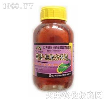 �|̦����������-� �����