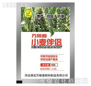 С����H-�f(w��n)�ڴ�