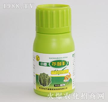 С�������S-�f(w��n)�ڴ�