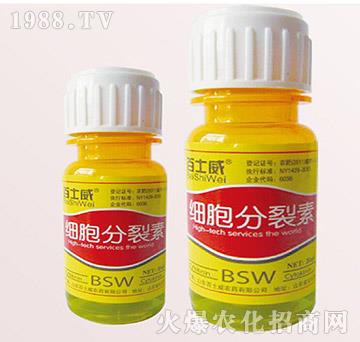 ����������-��ʿ��