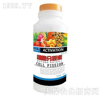 ���������؏ͺ���-��ʿ��