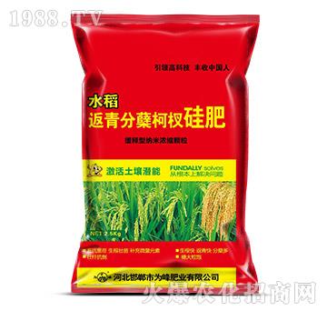 ˮ��������Y��辷�-���