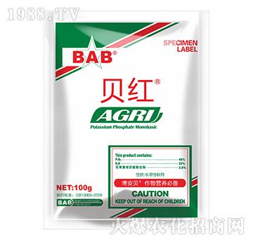 100gؐ�t-����ؐ