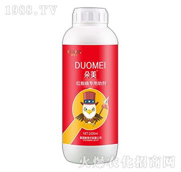 �t֩�댣������-����-���S