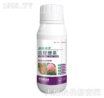 ����ۡ�����ѿ�ߗU��-���z�^��-����(l��)����-̩��(l��i)