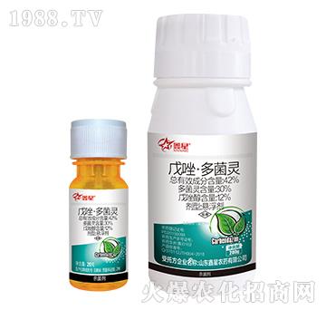 42%���򡤶���`-����