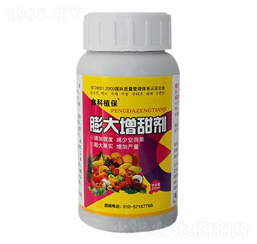 ���������-�ο�ֲ��