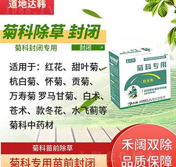 �տƳ��݄�-�տ���ǰ-�տƷ��]����-���n