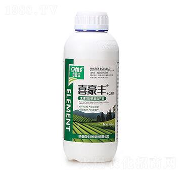 ʮ��Ԫ��-ϲ���S-�W��ɭ