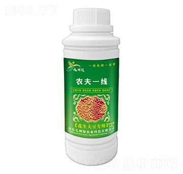 �����󶹌�(zhu��n)���~��� �r(n��ng)��һ��(xi��n) ���ݾG