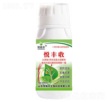 С�˶���z�x��(qi��ng)���ܽ℩-���S��-�����S