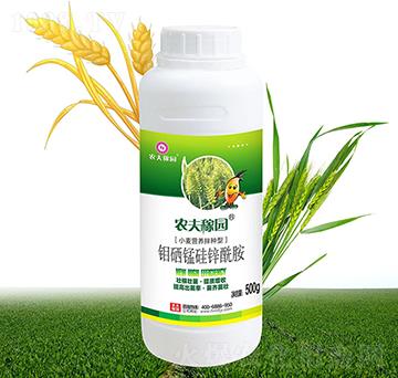 С���I�B(y��ng)��N��-�r��ڈ@