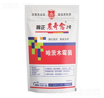 ����ľù��-����r(n��ng)����2̖-������r(n��ng)