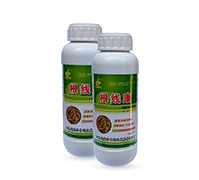 �B���Ը��Y(ji��)���x����-������