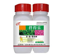 25%�ࡤ����������