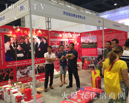 �ӱ���ȷʘI(y��)2017�ό��r(n��ng)�Y��(hu��)�c������(chu��ng)�x����