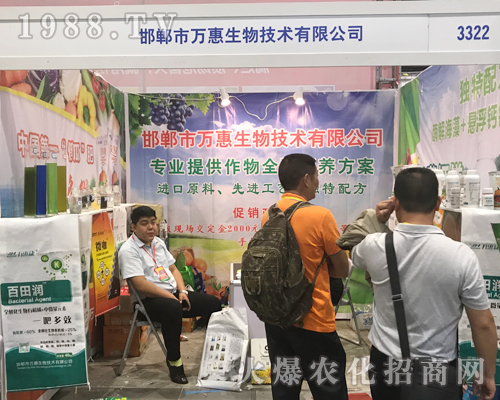 �������f(w��n)������