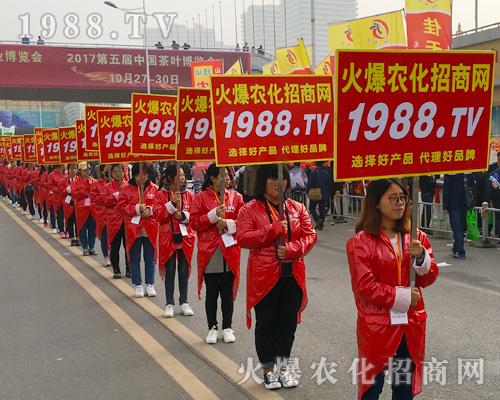 2017��ɽ�|ֲ����(hu��)���r(n��ng)������Ч����(qi��ng)��