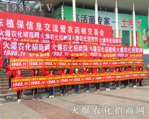 2017ɽ�|ʡֲ���������r(n��ng)�����̾W(w��ng)�ل�(chu��ng)�x��