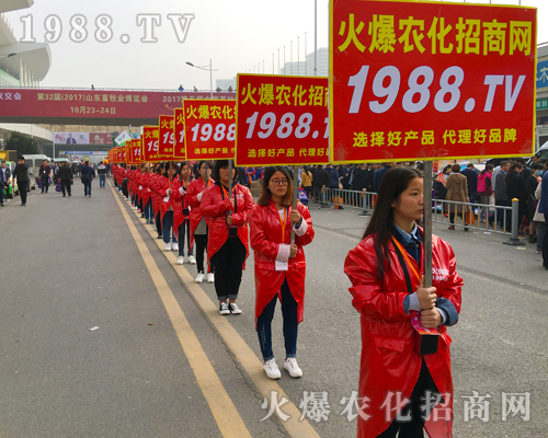 2017ɽ�|ֲ�����ו������cͻ�@��1988.TV�ɽ��c��