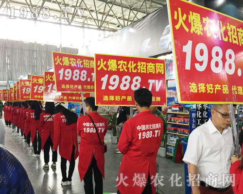 2017�����r�Y���[��