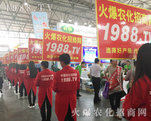 2017�����r�Y���[��