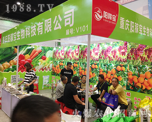 2018�V���ό��r�Y�����ؑcꖼڌ�����ݳ���