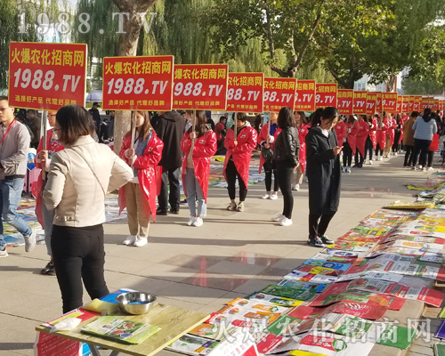     1988.TV���r(n��ng)�����̾W(w��ng)2018��(j��)��ֲ���������L(f��ng)����