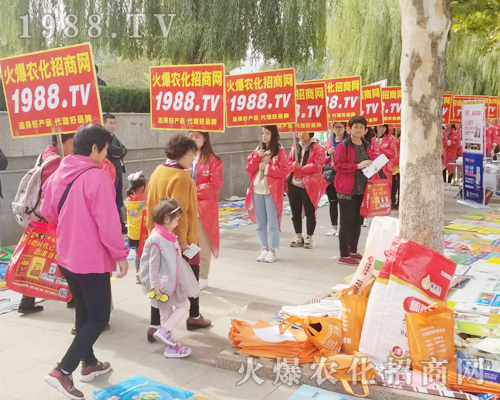     ��24��ɽ�|ֲ�����ו��ϻ��r(n��ng)���W(w��ng)��Ӣ�ɳ�������(zh��n)����