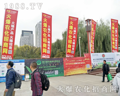 2018ɽ�|ֲ���p����(hu��)�������r(n��ng)���W(w��ng)ȫ���������̹���