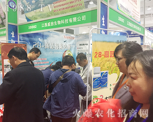 �����ݔ������ڵ�24��ɽ�|ֲ�����ו�(hu��)���T�x��