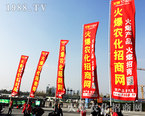 ����ʮ�Č�ȫ��ֲ���������r(n��ng)�����̾W(w��ng)�L(f��ng)��ȫ����