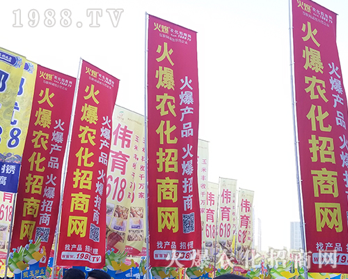 2018���������r(n��ng)ˎ����1988.TV����***��