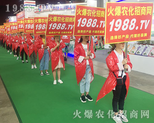 2018�����r(n��ng)�Y��(hu��)��1988.TV������������(sh��)���ɓ�