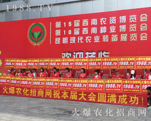 2018�����r�Y���[�������r���W��������