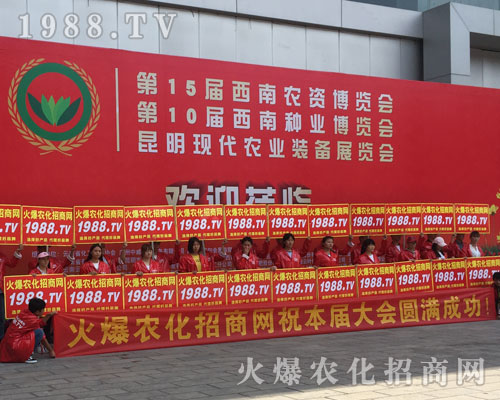 �o(w��)̎�����r(n��ng)���W(w��ng)���M�۱M�ǻ𱬼t��