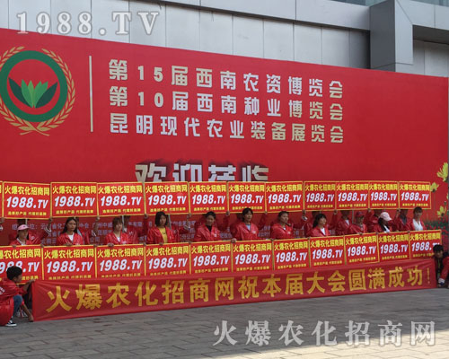 �o̎�����r(n��ng)���W(w��ng)���M�۱M�ǻ𱬼t��